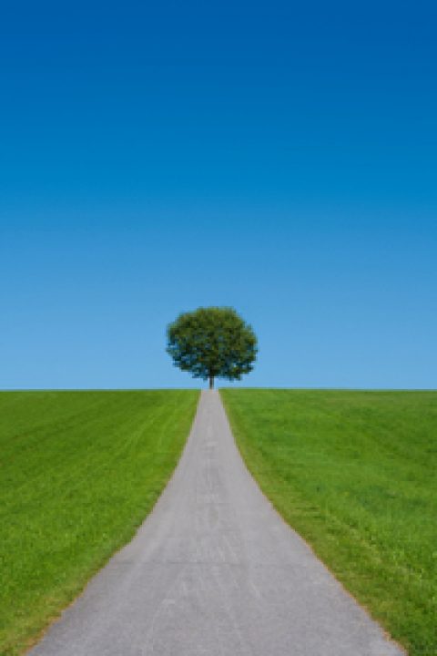 Blühende Landschaften für Strom aus Wind und Sonne?