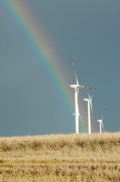Windkraft: Das letzte Rekordjahr?