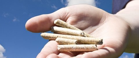 Umweltsünder Pelletheizung?