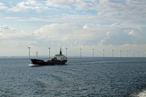Offshore-Windparks: Lärmbelästigung für Meeresbewohner