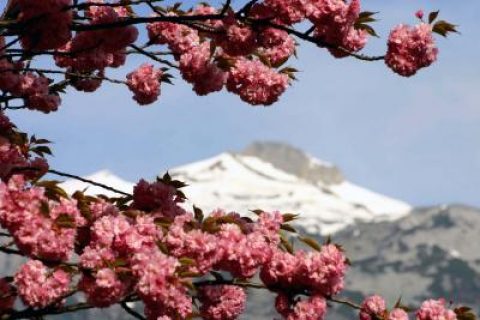 Japan: Ein Jahr ohne Atomkraft