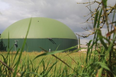 Ökogas: Überraschend günstig