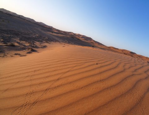 Israel: Wüsten-Solarpark der Superlative – StromAuskunft