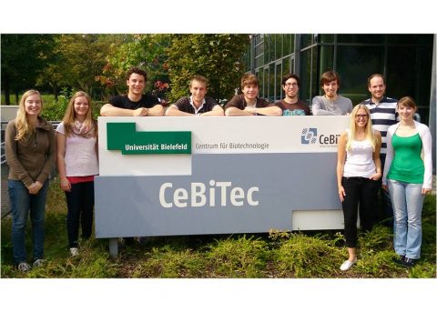 Bielefelder Uni-Team entwickelt Bakterium zur Umwandlung von Ökostrom in Biosprit