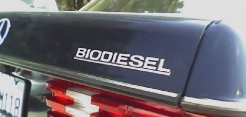 Zu teuer und ungeliebt: Biodiesel-Absatz bricht ein