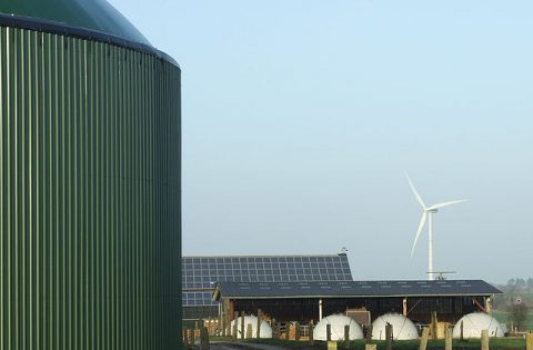 Biomasse nachhaltig nutzen
