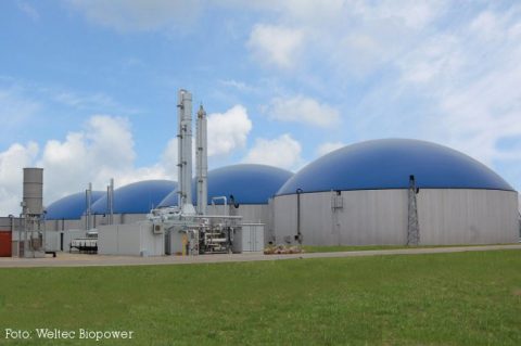 Biomethananlage im Biomasse-Cluster Arneburg geht in Betrieb