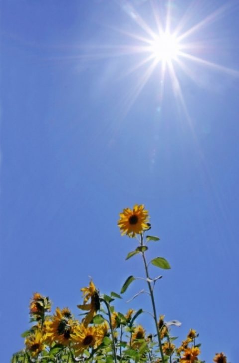 Freiluft-Stromspeicher: Sonnenbatterie für den Garten