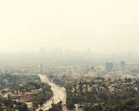 Klimaschutz-Kommunikation als “global connection” mit kalifornischer Universität