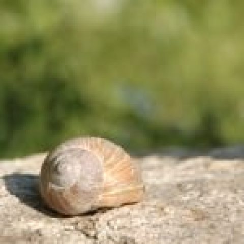 Was ist Geothermie?