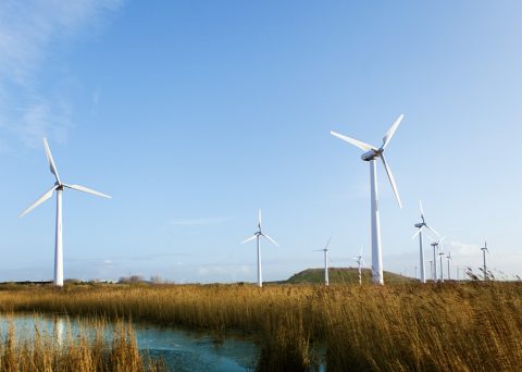 EKOenergie: Herkunftsnachweise sollen europäische Energiewende fördern
