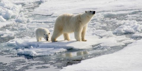 10 Tipps für bessere Klimakommunikation