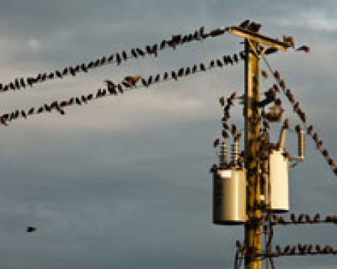 Geschürte Angst vor dem Blackout contra belegte technische Machbarkeit der Stromwende durch “Kombikraftwerk 2″