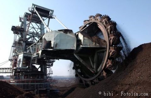 Mehrjährige Energiepflanzen zur Rekultivierung von Bergbaufolgelandschaften