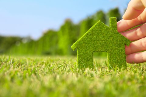 Energiesparen im Haushalt – Was kann ich sparen?