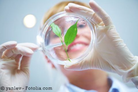 BioÖkonomie im Auge von Wissenschaft und Forschung