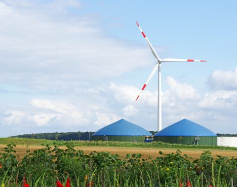 Erneuerbare Energien: Wichtigste Stromquelle in Deutschland