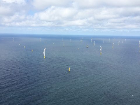 Sektorkopplung: Retter der Energiewende oder ineffizienter Holzweg