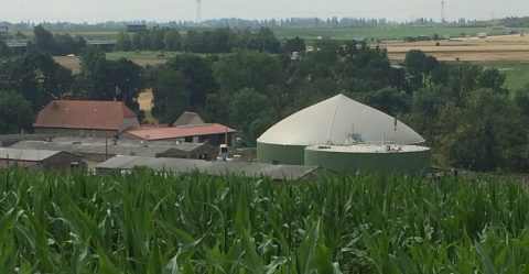 Ausschreibungen: Bio will, Wind und PV nicht