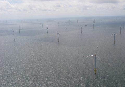 Energieverbrauch 2015: Erneuerbare legen am stärksten zu