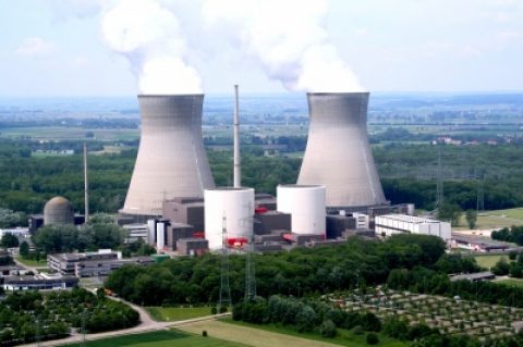 Deutschland: Vogel setzte möglicherweise Kernkraftwerk außer Gefecht