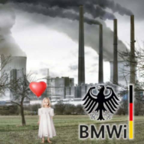 Wissenschaftlicher Beirat beim BMWi – Schwarz wie Kohle?
