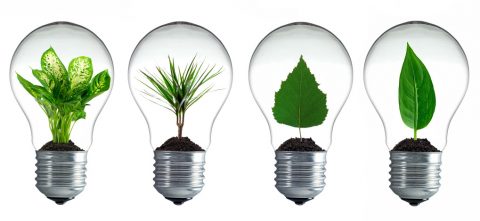 LED statt Glühbirne – Wie finde ich den richtigen Ersatz?