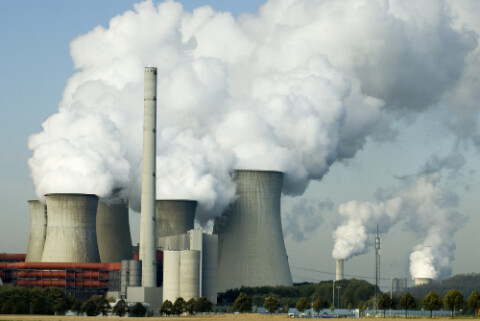 Lückings Woche: Der Klimakompromiss und ein neuer Schwarm