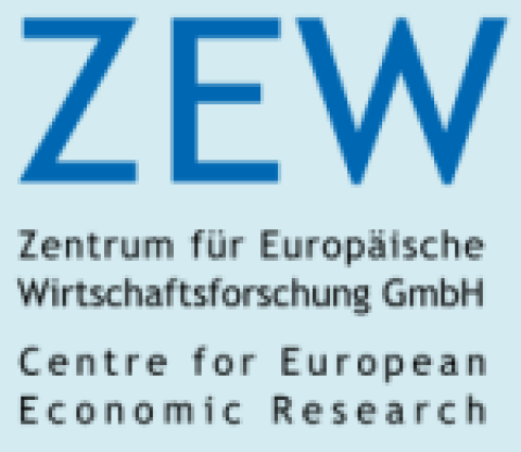 Fundstück der Woche: ZEW-Diskussionspapier No. 14-051
