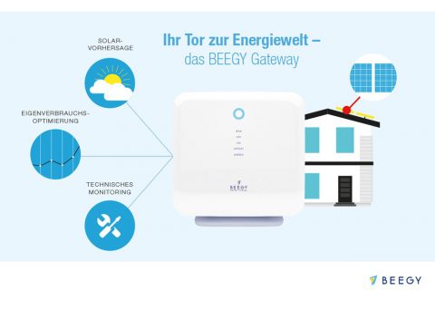 Lohnt sich die BEEGY PV-Anlage mit 50% Einspargarantie?