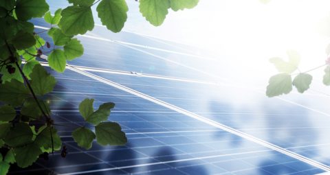Laute Stimme für die Energiewende von unten