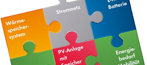 Die nächste Stufe der PV-Netzintegration:   Anwendungen, Anreize und sinnvolle Systemkonzepte für verbrauchernahe Stromspeicher
