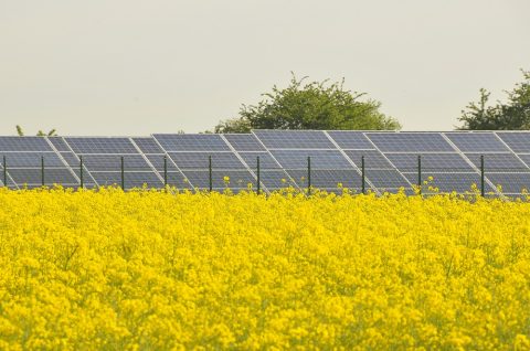 Energiewende: Ökostrom reicht nicht aus