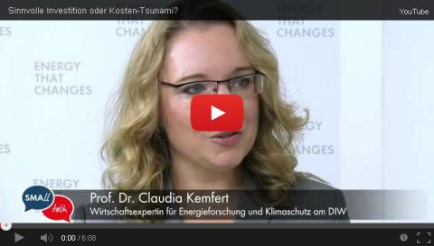 Sinnvolle Investition oder Kosten-Tsunami?