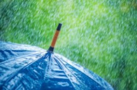 Kommentar: Gabriel, Hendricks und der Klimaschutz