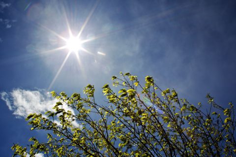 Speicherung von Strom aus Wind und Sonne – der Stein der Weisen?