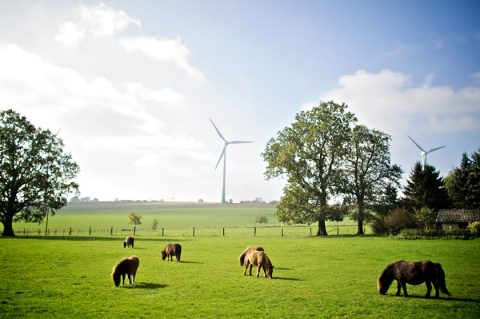 Viel Lärm um nichts? Uni Halle-Wittenberg liefert neue Erkenntnisse zur Wahrnehmung von Windpark-Geräuschen