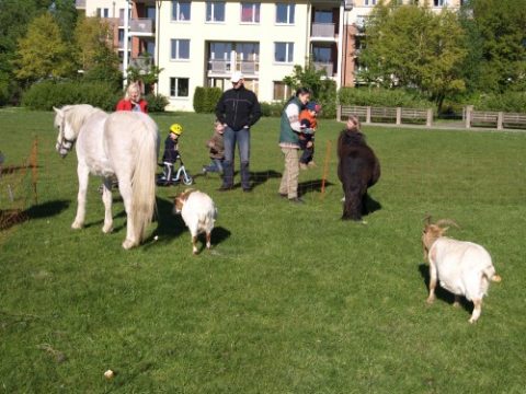 Natürliche Räume für eine unbeschwerte Kindheit