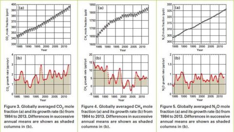 WMO: CO2-Aufnahmefähigkeit der Ozeane und der Biosphäre nimmt ab