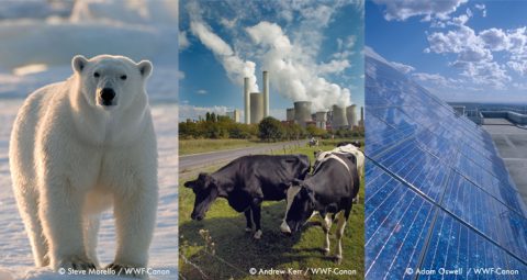 Klimaschutz mit Fundament – warum Deutschland ein Klimaschutz- und Energiewende-Gesetz braucht
