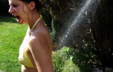Der Absorber – das Herzstück des Sonnenkollektors