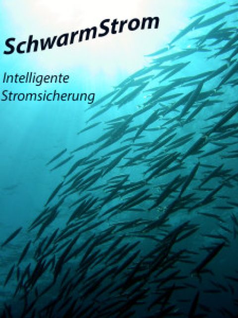 Was genau ist “Schwarm-Strom”? Wir klären auf