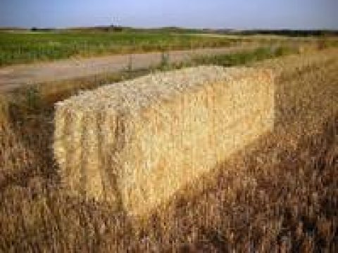 Naturdämmstoffe für mehr Klimaschutz entscheidend