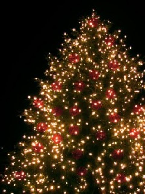 E.ON wundert sich über Fehleinschätzung der Stromkosten der Weihnachtsbeleuchtung