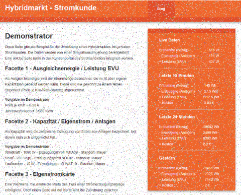 Demonstrator – Hybridmarkt