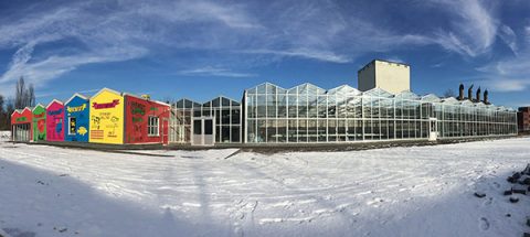 Klimaschutz-Netz – #Urban #Farming