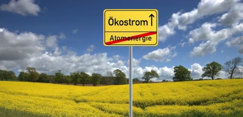 Entwicklung und Einsatz von Erneuerbaren Energien vs. Atomkraft