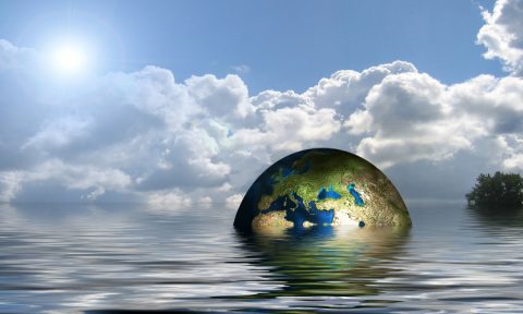 Klimaschutz? Nicht mit Sigmar Gabriel