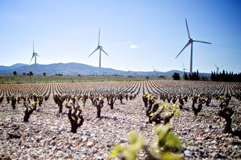 Die Welt wird erneuerbarer – aktuelle Zahlen zur globalen Energiewende