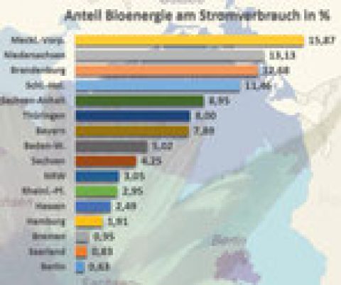 Infografik Erneuerbare Energien Teil 4: Stromerzeugung aus Bioenergie
